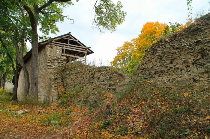 перекати поле дикий запад. Смотреть фото перекати поле дикий запад. Смотреть картинку перекати поле дикий запад. Картинка про перекати поле дикий запад. Фото перекати поле дикий запад