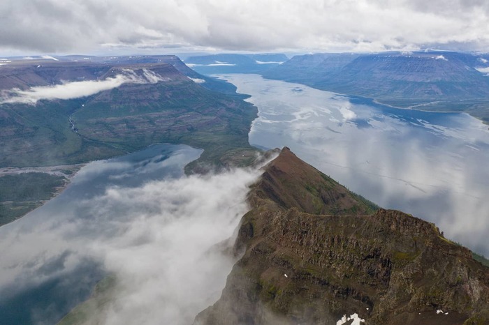 ����� ����