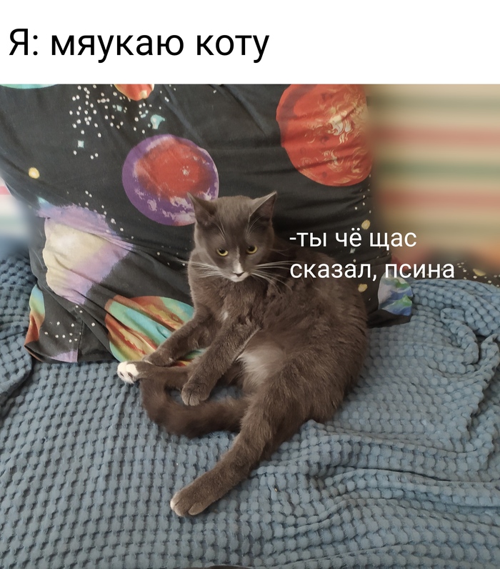 �� �������� �����! ���� ��������