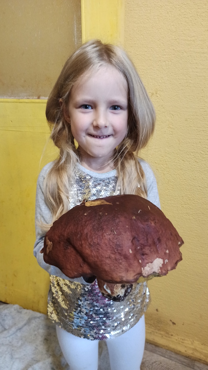 ГРИБ. БЕЛЫЙ | Пикабу