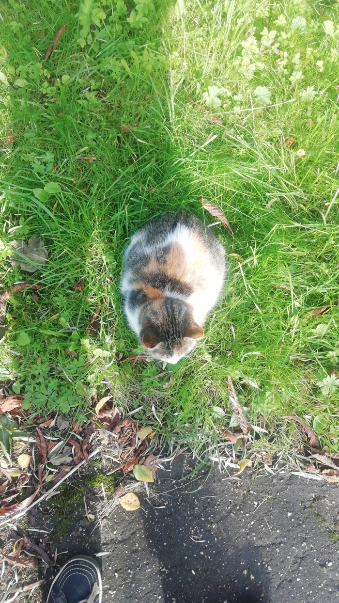 ��������