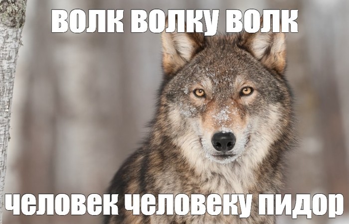 ������ �����