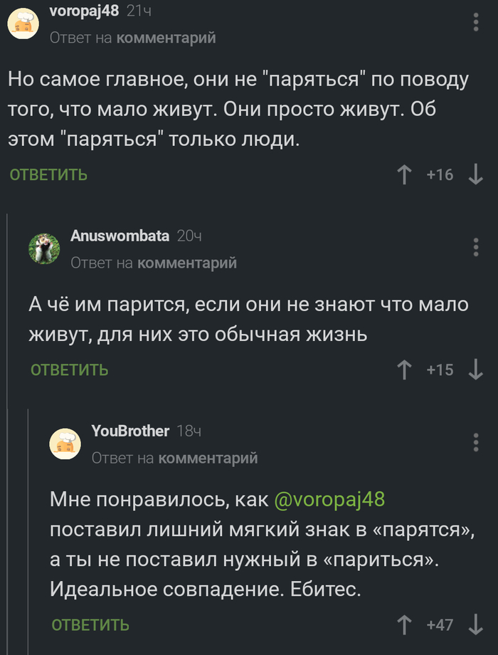 ����� ���� �����