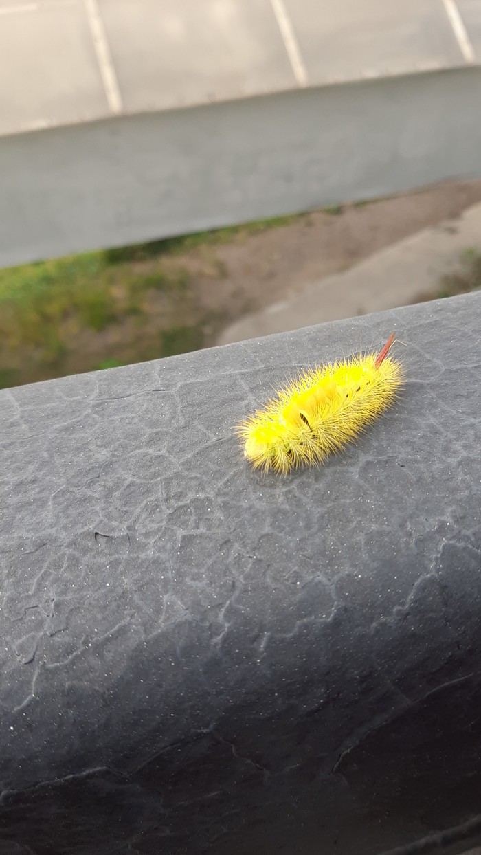 ��� ��� �� �������?