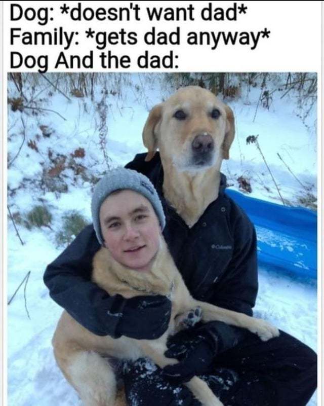 � ��� ������ ���