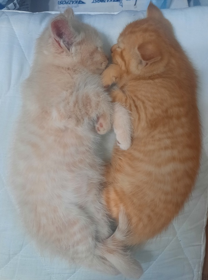 ������� ������!