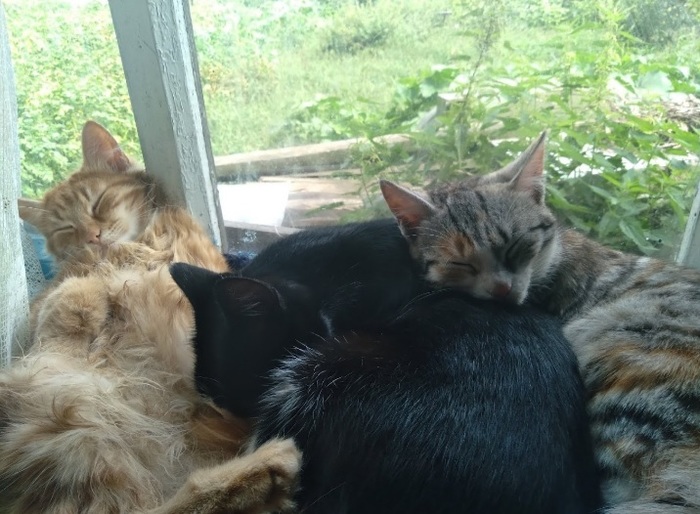 да отстань ты блин. Смотреть фото да отстань ты блин. Смотреть картинку да отстань ты блин. Картинка про да отстань ты блин. Фото да отстань ты блин да отстань ты блин. Смотреть фото да отстань ты блин. Смотреть картинку да отстань ты блин. Картинка про да отстань ты блин. Фото да отстань ты блин