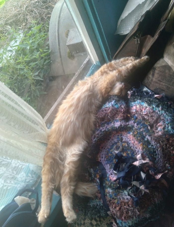 да отстань ты блин. Смотреть фото да отстань ты блин. Смотреть картинку да отстань ты блин. Картинка про да отстань ты блин. Фото да отстань ты блин да отстань ты блин. Смотреть фото да отстань ты блин. Смотреть картинку да отстань ты блин. Картинка про да отстань ты блин. Фото да отстань ты блин