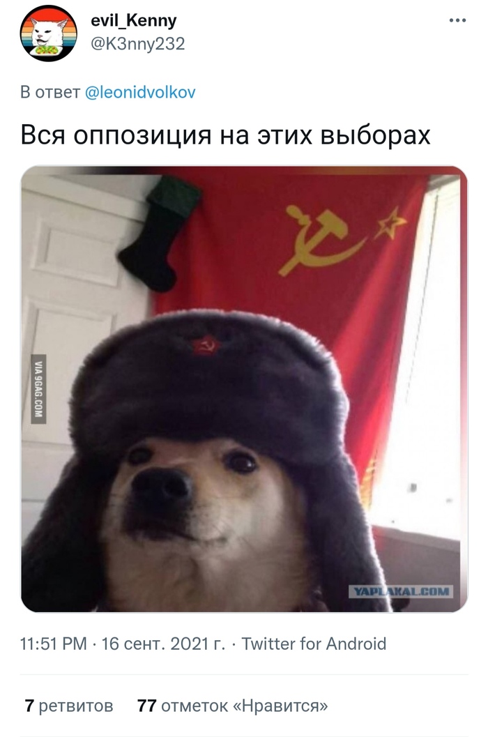Оппозиция на выборах))