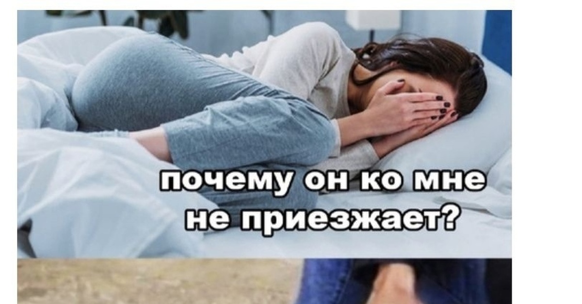 Обстоятельства непреодолимой силы | Пикабу