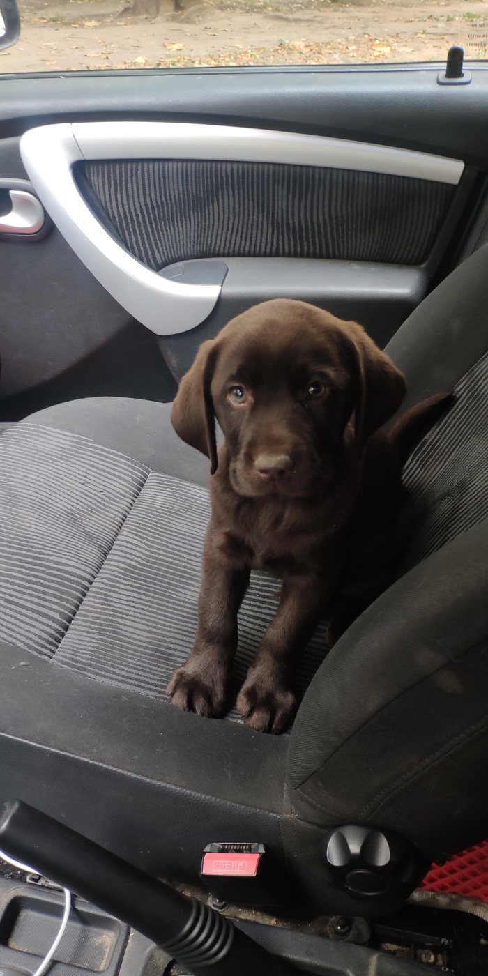 Мечта сбылась)