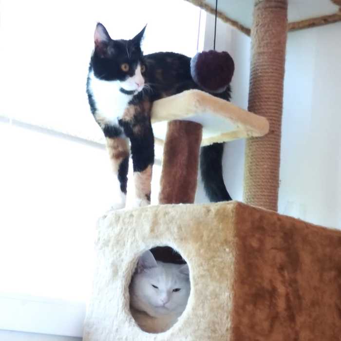 ��� ������)))