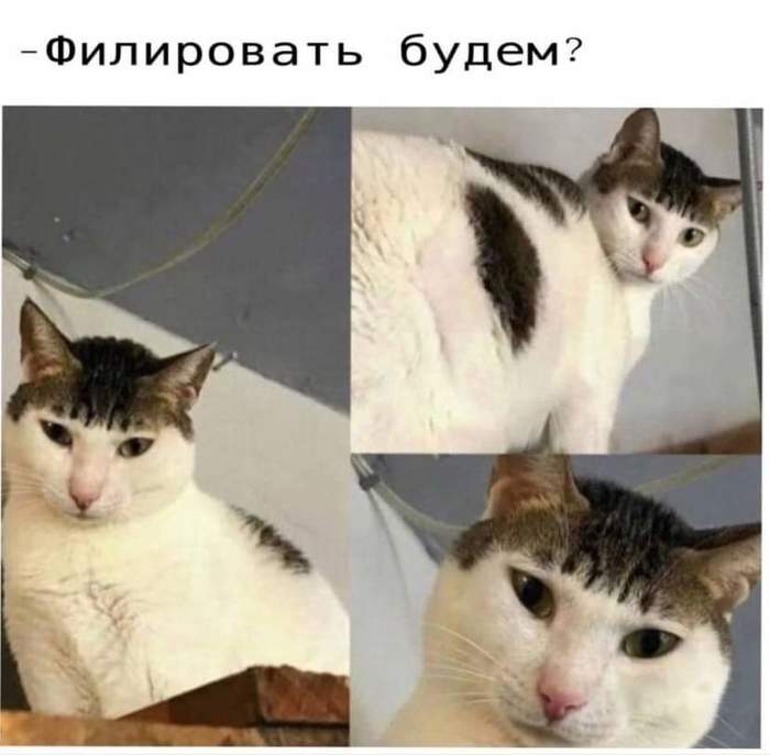 �� ����� ������� ������!)))