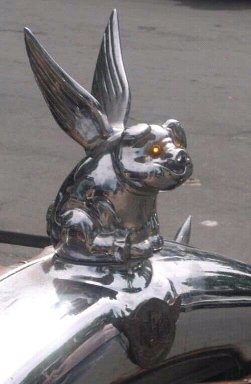 Автомобильные эмблемы | Пикабу