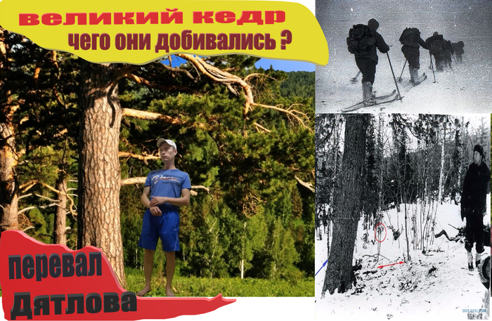ТАЙНУ ПЕРЕВАЛА ДЯТЛОВА РАЗГАДАЮТ ИЛИ НЕТ?