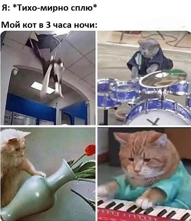 что делать если в магазине на первом этаже гудят холодильники. Смотреть фото что делать если в магазине на первом этаже гудят холодильники. Смотреть картинку что делать если в магазине на первом этаже гудят холодильники. Картинка про что делать если в магазине на первом этаже гудят холодильники. Фото что делать если в магазине на первом этаже гудят холодильники