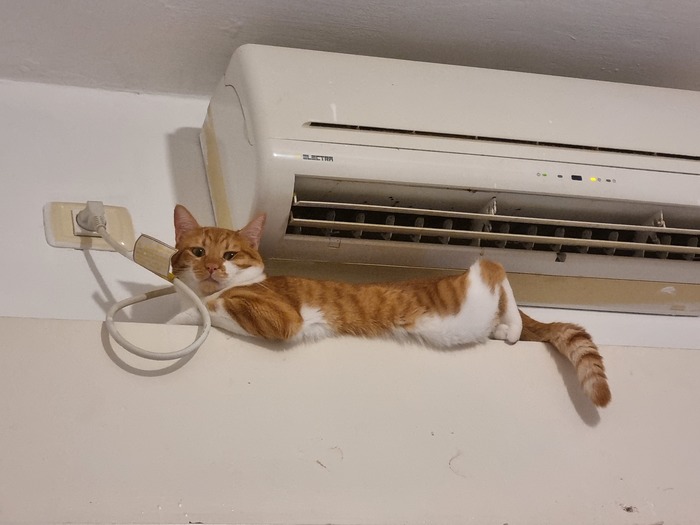 �������, ��� ������ :)