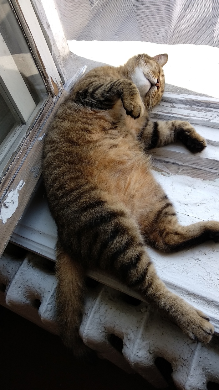 ����� �� ���� ������� ���� ������ ����, ��� � ���� ��������� ������. �������