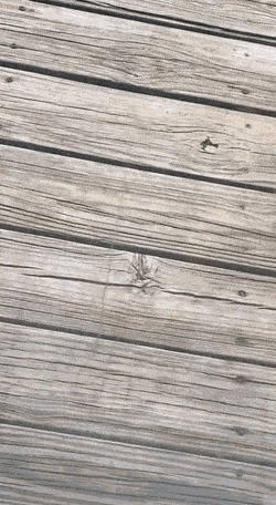   , , , 
