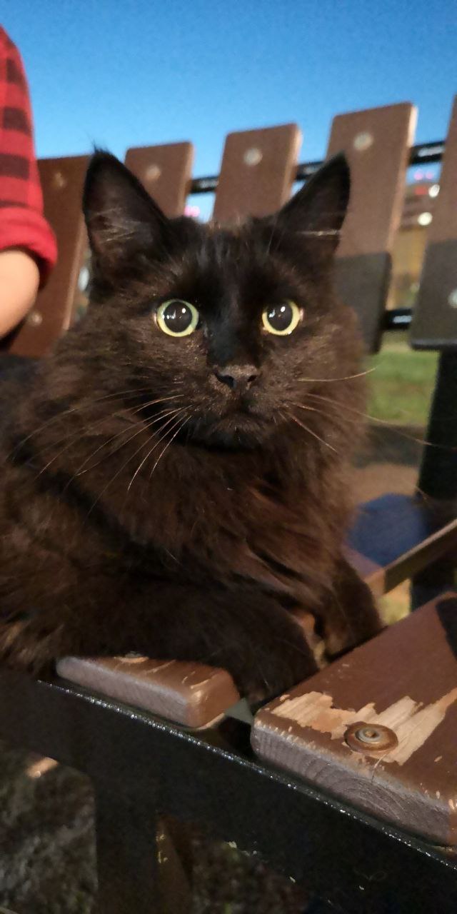 ������ 1,5 ����