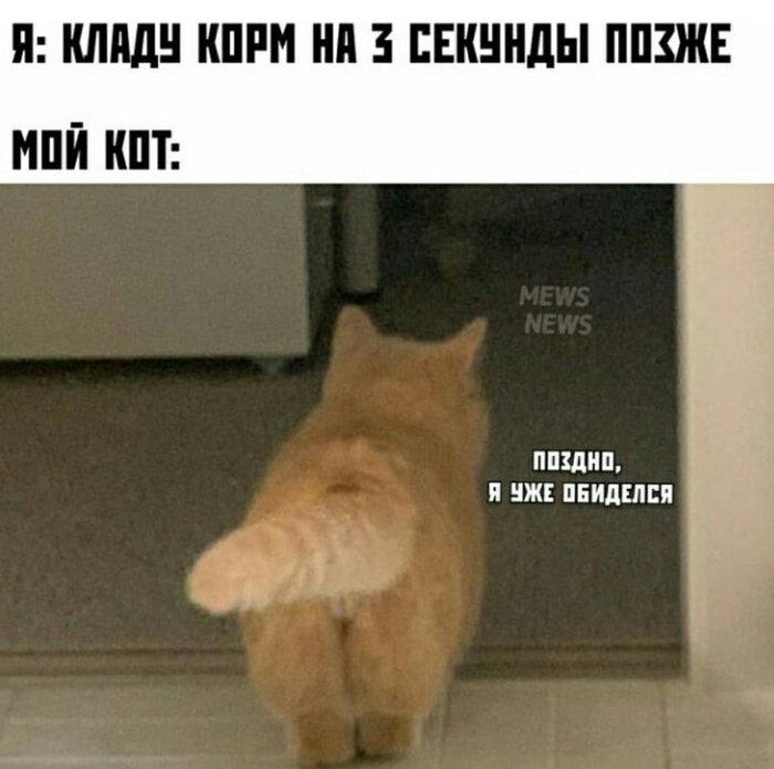 ��� �����