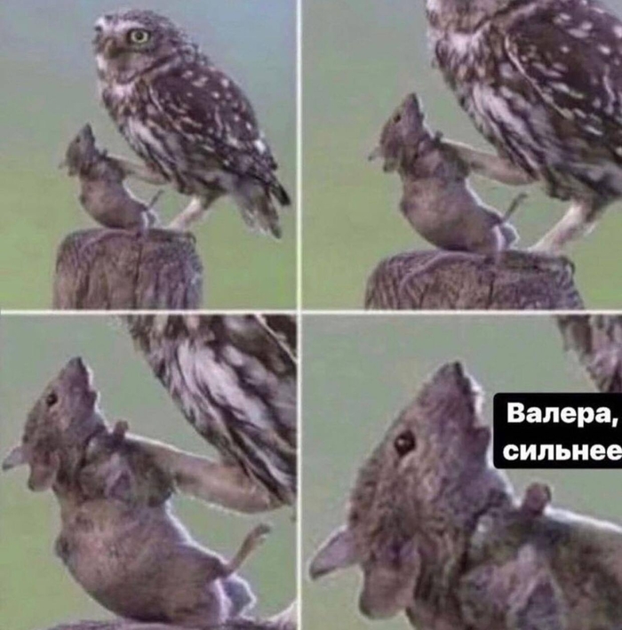 ,  , , 