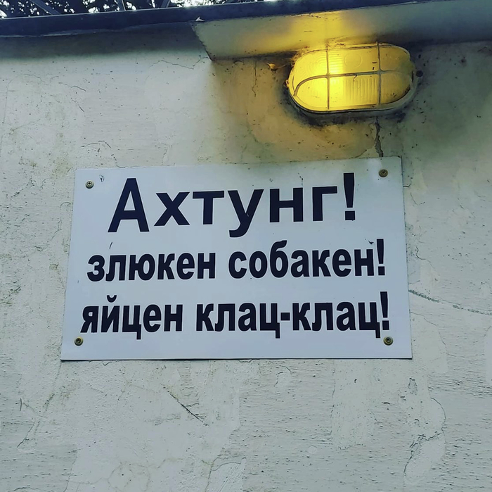 Немецкая овчарка во дворе)