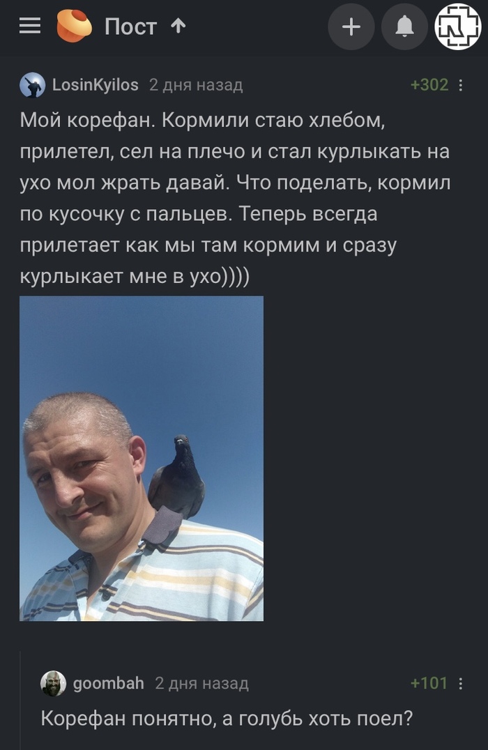  - ,   -  ,   , , , 
