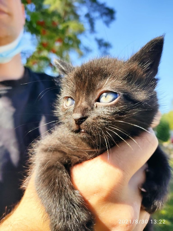 ΠΊΠ°ΠΊΠ°Ρ ΡΠ°Π·Π½ΠΈΡΠ° ΠΌΠ΅ΠΆΠ΄Ρ Π±ΠΎΡΠ΄ΡΡΠΎΠΌ ΠΈ ΠΏΠΎΡΠ΅Π±ΡΠΈΠΊΠΎΠΌ. Π‘ΠΌΠΎΡΡΠ΅ΡΡ ΡΠΎΡΠΎ ΠΊΠ°ΠΊΠ°Ρ ΡΠ°Π·Π½ΠΈΡΠ° ΠΌΠ΅ΠΆΠ΄Ρ Π±ΠΎΡΠ΄ΡΡΠΎΠΌ ΠΈ ΠΏΠΎΡΠ΅Π±ΡΠΈΠΊΠΎΠΌ. Π‘ΠΌΠΎΡΡΠ΅ΡΡ ΠΊΠ°ΡΡΠΈΠ½ΠΊΡ ΠΊΠ°ΠΊΠ°Ρ ΡΠ°Π·Π½ΠΈΡΠ° ΠΌΠ΅ΠΆΠ΄Ρ Π±ΠΎΡΠ΄ΡΡΠΎΠΌ ΠΈ ΠΏΠΎΡΠ΅Π±ΡΠΈΠΊΠΎΠΌ. ΠΠ°ΡΡΠΈΠ½ΠΊΠ° ΠΏΡΠΎ ΠΊΠ°ΠΊΠ°Ρ ΡΠ°Π·Π½ΠΈΡΠ° ΠΌΠ΅ΠΆΠ΄Ρ Π±ΠΎΡΠ΄ΡΡΠΎΠΌ ΠΈ ΠΏΠΎΡΠ΅Π±ΡΠΈΠΊΠΎΠΌ. Π€ΠΎΡΠΎ ΠΊΠ°ΠΊΠ°Ρ ΡΠ°Π·Π½ΠΈΡΠ° ΠΌΠ΅ΠΆΠ΄Ρ Π±ΠΎΡΠ΄ΡΡΠΎΠΌ ΠΈ ΠΏΠΎΡΠ΅Π±ΡΠΈΠΊΠΎΠΌ ΠΊΠ°ΠΊΠ°Ρ ΡΠ°Π·Π½ΠΈΡΠ° ΠΌΠ΅ΠΆΠ΄Ρ Π±ΠΎΡΠ΄ΡΡΠΎΠΌ ΠΈ ΠΏΠΎΡΠ΅Π±ΡΠΈΠΊΠΎΠΌ. Π‘ΠΌΠΎΡΡΠ΅ΡΡ ΡΠΎΡΠΎ ΠΊΠ°ΠΊΠ°Ρ ΡΠ°Π·Π½ΠΈΡΠ° ΠΌΠ΅ΠΆΠ΄Ρ Π±ΠΎΡΠ΄ΡΡΠΎΠΌ ΠΈ ΠΏΠΎΡΠ΅Π±ΡΠΈΠΊΠΎΠΌ. Π‘ΠΌΠΎΡΡΠ΅ΡΡ ΠΊΠ°ΡΡΠΈΠ½ΠΊΡ ΠΊΠ°ΠΊΠ°Ρ ΡΠ°Π·Π½ΠΈΡΠ° ΠΌΠ΅ΠΆΠ΄Ρ Π±ΠΎΡΠ΄ΡΡΠΎΠΌ ΠΈ ΠΏΠΎΡΠ΅Π±ΡΠΈΠΊΠΎΠΌ. ΠΠ°ΡΡΠΈΠ½ΠΊΠ° ΠΏΡΠΎ ΠΊΠ°ΠΊΠ°Ρ ΡΠ°Π·Π½ΠΈΡΠ° ΠΌΠ΅ΠΆΠ΄Ρ Π±ΠΎΡΠ΄ΡΡΠΎΠΌ ΠΈ ΠΏΠΎΡΠ΅Π±ΡΠΈΠΊΠΎΠΌ. Π€ΠΎΡΠΎ ΠΊΠ°ΠΊΠ°Ρ ΡΠ°Π·Π½ΠΈΡΠ° ΠΌΠ΅ΠΆΠ΄Ρ Π±ΠΎΡΠ΄ΡΡΠΎΠΌ ΠΈ ΠΏΠΎΡΠ΅Π±ΡΠΈΠΊΠΎΠΌ