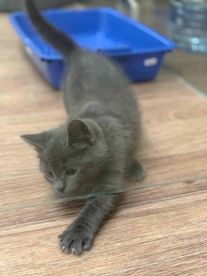 ΠΊΠ°ΠΊΠ°Ρ ΡΠ°Π·Π½ΠΈΡΠ° ΠΌΠ΅ΠΆΠ΄Ρ Π±ΠΎΡΠ΄ΡΡΠΎΠΌ ΠΈ ΠΏΠΎΡΠ΅Π±ΡΠΈΠΊΠΎΠΌ. Π‘ΠΌΠΎΡΡΠ΅ΡΡ ΡΠΎΡΠΎ ΠΊΠ°ΠΊΠ°Ρ ΡΠ°Π·Π½ΠΈΡΠ° ΠΌΠ΅ΠΆΠ΄Ρ Π±ΠΎΡΠ΄ΡΡΠΎΠΌ ΠΈ ΠΏΠΎΡΠ΅Π±ΡΠΈΠΊΠΎΠΌ. Π‘ΠΌΠΎΡΡΠ΅ΡΡ ΠΊΠ°ΡΡΠΈΠ½ΠΊΡ ΠΊΠ°ΠΊΠ°Ρ ΡΠ°Π·Π½ΠΈΡΠ° ΠΌΠ΅ΠΆΠ΄Ρ Π±ΠΎΡΠ΄ΡΡΠΎΠΌ ΠΈ ΠΏΠΎΡΠ΅Π±ΡΠΈΠΊΠΎΠΌ. ΠΠ°ΡΡΠΈΠ½ΠΊΠ° ΠΏΡΠΎ ΠΊΠ°ΠΊΠ°Ρ ΡΠ°Π·Π½ΠΈΡΠ° ΠΌΠ΅ΠΆΠ΄Ρ Π±ΠΎΡΠ΄ΡΡΠΎΠΌ ΠΈ ΠΏΠΎΡΠ΅Π±ΡΠΈΠΊΠΎΠΌ. Π€ΠΎΡΠΎ ΠΊΠ°ΠΊΠ°Ρ ΡΠ°Π·Π½ΠΈΡΠ° ΠΌΠ΅ΠΆΠ΄Ρ Π±ΠΎΡΠ΄ΡΡΠΎΠΌ ΠΈ ΠΏΠΎΡΠ΅Π±ΡΠΈΠΊΠΎΠΌ ΠΊΠ°ΠΊΠ°Ρ ΡΠ°Π·Π½ΠΈΡΠ° ΠΌΠ΅ΠΆΠ΄Ρ Π±ΠΎΡΠ΄ΡΡΠΎΠΌ ΠΈ ΠΏΠΎΡΠ΅Π±ΡΠΈΠΊΠΎΠΌ. Π‘ΠΌΠΎΡΡΠ΅ΡΡ ΡΠΎΡΠΎ ΠΊΠ°ΠΊΠ°Ρ ΡΠ°Π·Π½ΠΈΡΠ° ΠΌΠ΅ΠΆΠ΄Ρ Π±ΠΎΡΠ΄ΡΡΠΎΠΌ ΠΈ ΠΏΠΎΡΠ΅Π±ΡΠΈΠΊΠΎΠΌ. Π‘ΠΌΠΎΡΡΠ΅ΡΡ ΠΊΠ°ΡΡΠΈΠ½ΠΊΡ ΠΊΠ°ΠΊΠ°Ρ ΡΠ°Π·Π½ΠΈΡΠ° ΠΌΠ΅ΠΆΠ΄Ρ Π±ΠΎΡΠ΄ΡΡΠΎΠΌ ΠΈ ΠΏΠΎΡΠ΅Π±ΡΠΈΠΊΠΎΠΌ. ΠΠ°ΡΡΠΈΠ½ΠΊΠ° ΠΏΡΠΎ ΠΊΠ°ΠΊΠ°Ρ ΡΠ°Π·Π½ΠΈΡΠ° ΠΌΠ΅ΠΆΠ΄Ρ Π±ΠΎΡΠ΄ΡΡΠΎΠΌ ΠΈ ΠΏΠΎΡΠ΅Π±ΡΠΈΠΊΠΎΠΌ. Π€ΠΎΡΠΎ ΠΊΠ°ΠΊΠ°Ρ ΡΠ°Π·Π½ΠΈΡΠ° ΠΌΠ΅ΠΆΠ΄Ρ Π±ΠΎΡΠ΄ΡΡΠΎΠΌ ΠΈ ΠΏΠΎΡΠ΅Π±ΡΠΈΠΊΠΎΠΌ