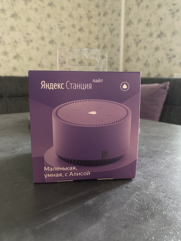 Алиса в доме