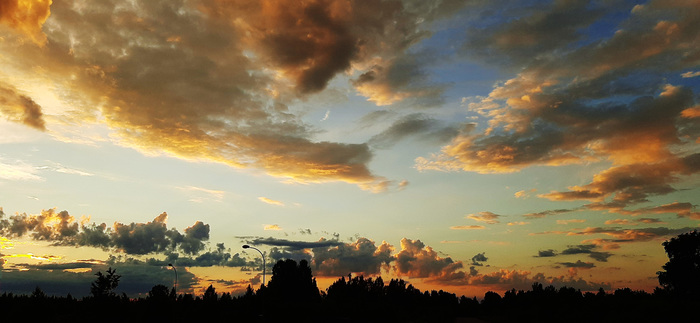 ������ �����