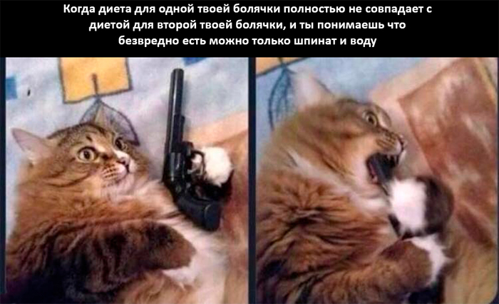 Hello darkness, my old friend