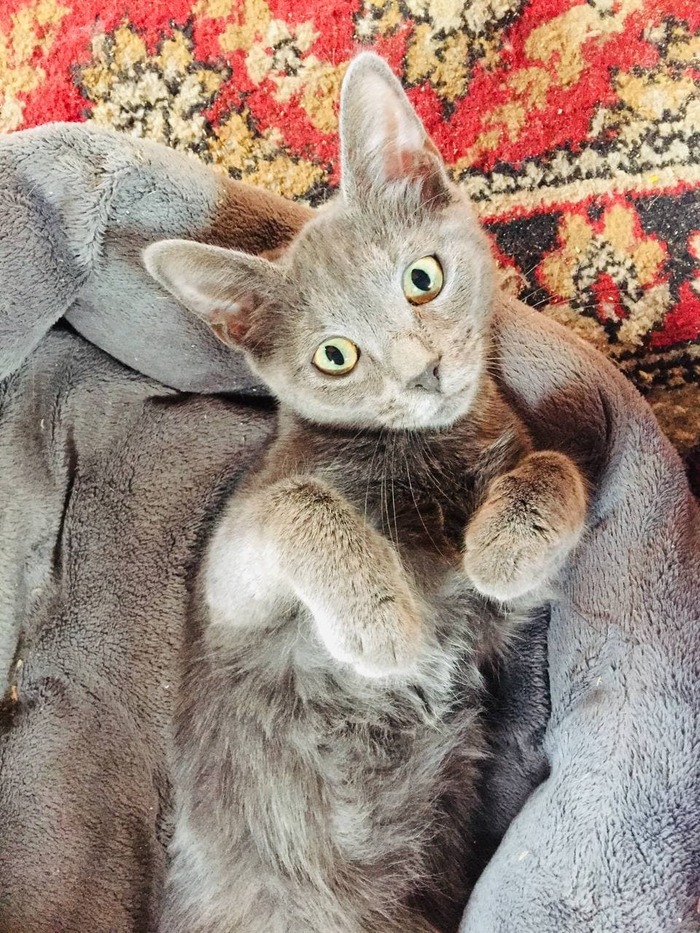 ΠΊΠ°ΠΊΠ°Ρ ΡΠ°Π·Π½ΠΈΡΠ° ΠΌΠ΅ΠΆΠ΄Ρ Π±ΠΎΡΠ΄ΡΡΠΎΠΌ ΠΈ ΠΏΠΎΡΠ΅Π±ΡΠΈΠΊΠΎΠΌ. Π‘ΠΌΠΎΡΡΠ΅ΡΡ ΡΠΎΡΠΎ ΠΊΠ°ΠΊΠ°Ρ ΡΠ°Π·Π½ΠΈΡΠ° ΠΌΠ΅ΠΆΠ΄Ρ Π±ΠΎΡΠ΄ΡΡΠΎΠΌ ΠΈ ΠΏΠΎΡΠ΅Π±ΡΠΈΠΊΠΎΠΌ. Π‘ΠΌΠΎΡΡΠ΅ΡΡ ΠΊΠ°ΡΡΠΈΠ½ΠΊΡ ΠΊΠ°ΠΊΠ°Ρ ΡΠ°Π·Π½ΠΈΡΠ° ΠΌΠ΅ΠΆΠ΄Ρ Π±ΠΎΡΠ΄ΡΡΠΎΠΌ ΠΈ ΠΏΠΎΡΠ΅Π±ΡΠΈΠΊΠΎΠΌ. ΠΠ°ΡΡΠΈΠ½ΠΊΠ° ΠΏΡΠΎ ΠΊΠ°ΠΊΠ°Ρ ΡΠ°Π·Π½ΠΈΡΠ° ΠΌΠ΅ΠΆΠ΄Ρ Π±ΠΎΡΠ΄ΡΡΠΎΠΌ ΠΈ ΠΏΠΎΡΠ΅Π±ΡΠΈΠΊΠΎΠΌ. Π€ΠΎΡΠΎ ΠΊΠ°ΠΊΠ°Ρ ΡΠ°Π·Π½ΠΈΡΠ° ΠΌΠ΅ΠΆΠ΄Ρ Π±ΠΎΡΠ΄ΡΡΠΎΠΌ ΠΈ ΠΏΠΎΡΠ΅Π±ΡΠΈΠΊΠΎΠΌ ΠΊΠ°ΠΊΠ°Ρ ΡΠ°Π·Π½ΠΈΡΠ° ΠΌΠ΅ΠΆΠ΄Ρ Π±ΠΎΡΠ΄ΡΡΠΎΠΌ ΠΈ ΠΏΠΎΡΠ΅Π±ΡΠΈΠΊΠΎΠΌ. Π‘ΠΌΠΎΡΡΠ΅ΡΡ ΡΠΎΡΠΎ ΠΊΠ°ΠΊΠ°Ρ ΡΠ°Π·Π½ΠΈΡΠ° ΠΌΠ΅ΠΆΠ΄Ρ Π±ΠΎΡΠ΄ΡΡΠΎΠΌ ΠΈ ΠΏΠΎΡΠ΅Π±ΡΠΈΠΊΠΎΠΌ. Π‘ΠΌΠΎΡΡΠ΅ΡΡ ΠΊΠ°ΡΡΠΈΠ½ΠΊΡ ΠΊΠ°ΠΊΠ°Ρ ΡΠ°Π·Π½ΠΈΡΠ° ΠΌΠ΅ΠΆΠ΄Ρ Π±ΠΎΡΠ΄ΡΡΠΎΠΌ ΠΈ ΠΏΠΎΡΠ΅Π±ΡΠΈΠΊΠΎΠΌ. ΠΠ°ΡΡΠΈΠ½ΠΊΠ° ΠΏΡΠΎ ΠΊΠ°ΠΊΠ°Ρ ΡΠ°Π·Π½ΠΈΡΠ° ΠΌΠ΅ΠΆΠ΄Ρ Π±ΠΎΡΠ΄ΡΡΠΎΠΌ ΠΈ ΠΏΠΎΡΠ΅Π±ΡΠΈΠΊΠΎΠΌ. Π€ΠΎΡΠΎ ΠΊΠ°ΠΊΠ°Ρ ΡΠ°Π·Π½ΠΈΡΠ° ΠΌΠ΅ΠΆΠ΄Ρ Π±ΠΎΡΠ΄ΡΡΠΎΠΌ ΠΈ ΠΏΠΎΡΠ΅Π±ΡΠΈΠΊΠΎΠΌ