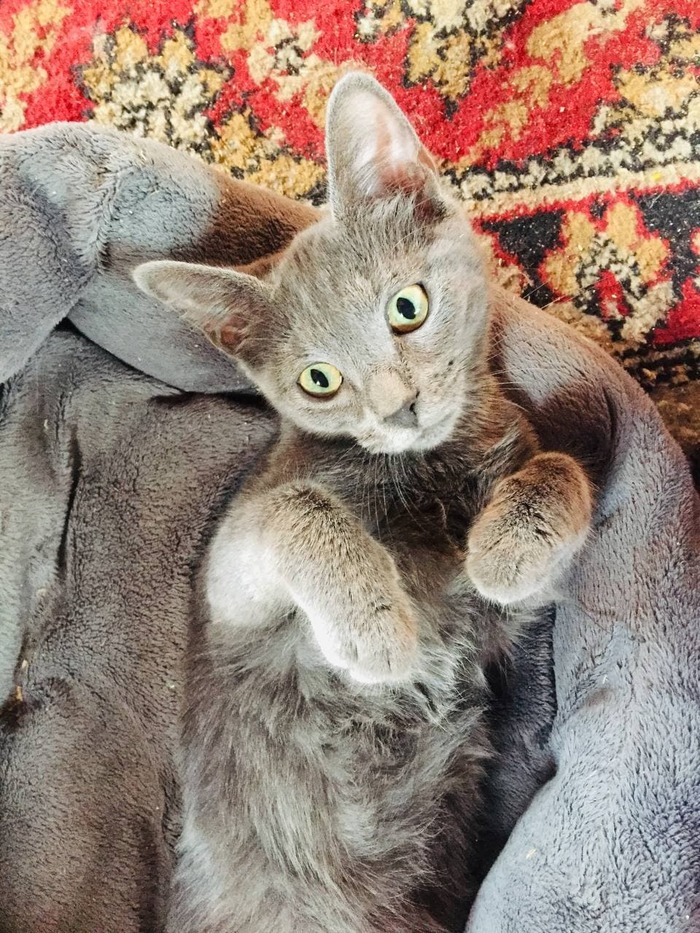 ΠΊΠ°ΠΊΠ°Ρ ΡΠ°Π·Π½ΠΈΡΠ° ΠΌΠ΅ΠΆΠ΄Ρ Π±ΠΎΡΠ΄ΡΡΠΎΠΌ ΠΈ ΠΏΠΎΡΠ΅Π±ΡΠΈΠΊΠΎΠΌ. Π‘ΠΌΠΎΡΡΠ΅ΡΡ ΡΠΎΡΠΎ ΠΊΠ°ΠΊΠ°Ρ ΡΠ°Π·Π½ΠΈΡΠ° ΠΌΠ΅ΠΆΠ΄Ρ Π±ΠΎΡΠ΄ΡΡΠΎΠΌ ΠΈ ΠΏΠΎΡΠ΅Π±ΡΠΈΠΊΠΎΠΌ. Π‘ΠΌΠΎΡΡΠ΅ΡΡ ΠΊΠ°ΡΡΠΈΠ½ΠΊΡ ΠΊΠ°ΠΊΠ°Ρ ΡΠ°Π·Π½ΠΈΡΠ° ΠΌΠ΅ΠΆΠ΄Ρ Π±ΠΎΡΠ΄ΡΡΠΎΠΌ ΠΈ ΠΏΠΎΡΠ΅Π±ΡΠΈΠΊΠΎΠΌ. ΠΠ°ΡΡΠΈΠ½ΠΊΠ° ΠΏΡΠΎ ΠΊΠ°ΠΊΠ°Ρ ΡΠ°Π·Π½ΠΈΡΠ° ΠΌΠ΅ΠΆΠ΄Ρ Π±ΠΎΡΠ΄ΡΡΠΎΠΌ ΠΈ ΠΏΠΎΡΠ΅Π±ΡΠΈΠΊΠΎΠΌ. Π€ΠΎΡΠΎ ΠΊΠ°ΠΊΠ°Ρ ΡΠ°Π·Π½ΠΈΡΠ° ΠΌΠ΅ΠΆΠ΄Ρ Π±ΠΎΡΠ΄ΡΡΠΎΠΌ ΠΈ ΠΏΠΎΡΠ΅Π±ΡΠΈΠΊΠΎΠΌ ΠΊΠ°ΠΊΠ°Ρ ΡΠ°Π·Π½ΠΈΡΠ° ΠΌΠ΅ΠΆΠ΄Ρ Π±ΠΎΡΠ΄ΡΡΠΎΠΌ ΠΈ ΠΏΠΎΡΠ΅Π±ΡΠΈΠΊΠΎΠΌ. Π‘ΠΌΠΎΡΡΠ΅ΡΡ ΡΠΎΡΠΎ ΠΊΠ°ΠΊΠ°Ρ ΡΠ°Π·Π½ΠΈΡΠ° ΠΌΠ΅ΠΆΠ΄Ρ Π±ΠΎΡΠ΄ΡΡΠΎΠΌ ΠΈ ΠΏΠΎΡΠ΅Π±ΡΠΈΠΊΠΎΠΌ. Π‘ΠΌΠΎΡΡΠ΅ΡΡ ΠΊΠ°ΡΡΠΈΠ½ΠΊΡ ΠΊΠ°ΠΊΠ°Ρ ΡΠ°Π·Π½ΠΈΡΠ° ΠΌΠ΅ΠΆΠ΄Ρ Π±ΠΎΡΠ΄ΡΡΠΎΠΌ ΠΈ ΠΏΠΎΡΠ΅Π±ΡΠΈΠΊΠΎΠΌ. ΠΠ°ΡΡΠΈΠ½ΠΊΠ° ΠΏΡΠΎ ΠΊΠ°ΠΊΠ°Ρ ΡΠ°Π·Π½ΠΈΡΠ° ΠΌΠ΅ΠΆΠ΄Ρ Π±ΠΎΡΠ΄ΡΡΠΎΠΌ ΠΈ ΠΏΠΎΡΠ΅Π±ΡΠΈΠΊΠΎΠΌ. Π€ΠΎΡΠΎ ΠΊΠ°ΠΊΠ°Ρ ΡΠ°Π·Π½ΠΈΡΠ° ΠΌΠ΅ΠΆΠ΄Ρ Π±ΠΎΡΠ΄ΡΡΠΎΠΌ ΠΈ ΠΏΠΎΡΠ΅Π±ΡΠΈΠΊΠΎΠΌ