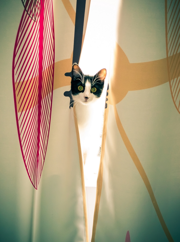 Вы кто такие? Я вас не звала...