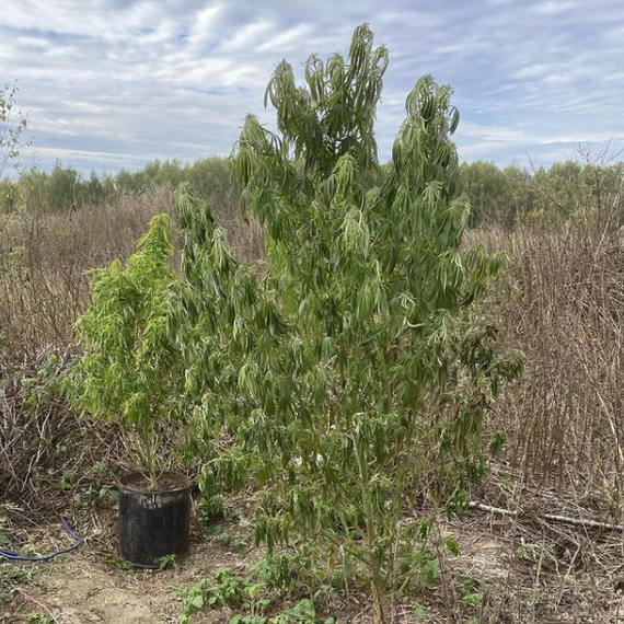 ��������� ����� ��������, �������� �� ������, � ���...