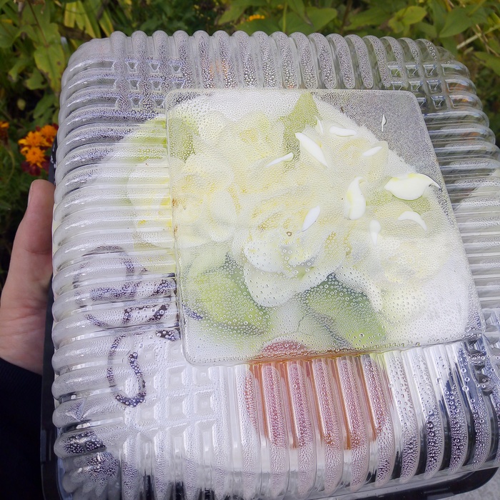 Штош. Добавился еще год. С Днем Рождения,Minusgisn!