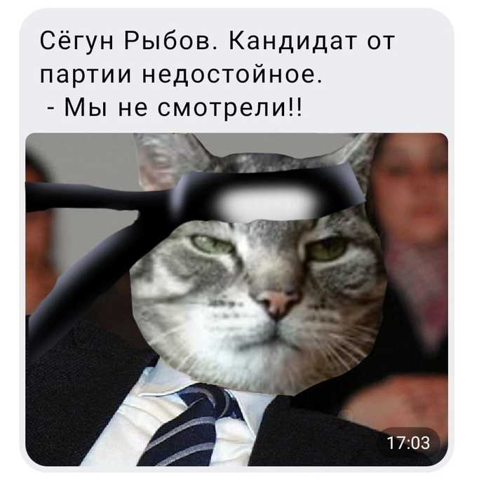        ( ,   ?,   ,   