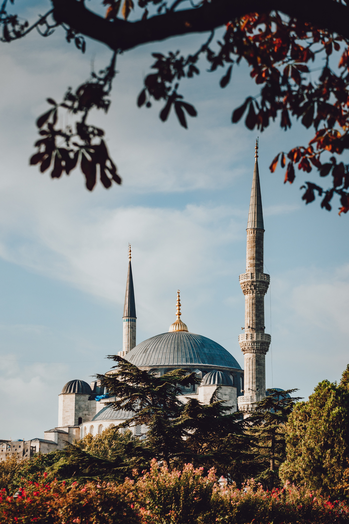 Мечети Стамбула на закате Стамбул, Путешествия, Турция, Фотография, Мечеть, Длиннопост