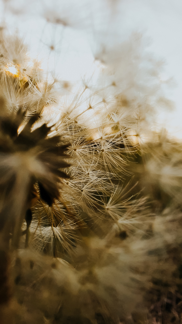 ��������� �� ������