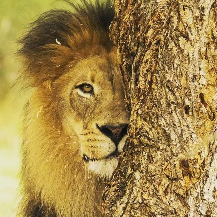 ������� ������������� ���� �� ����������)