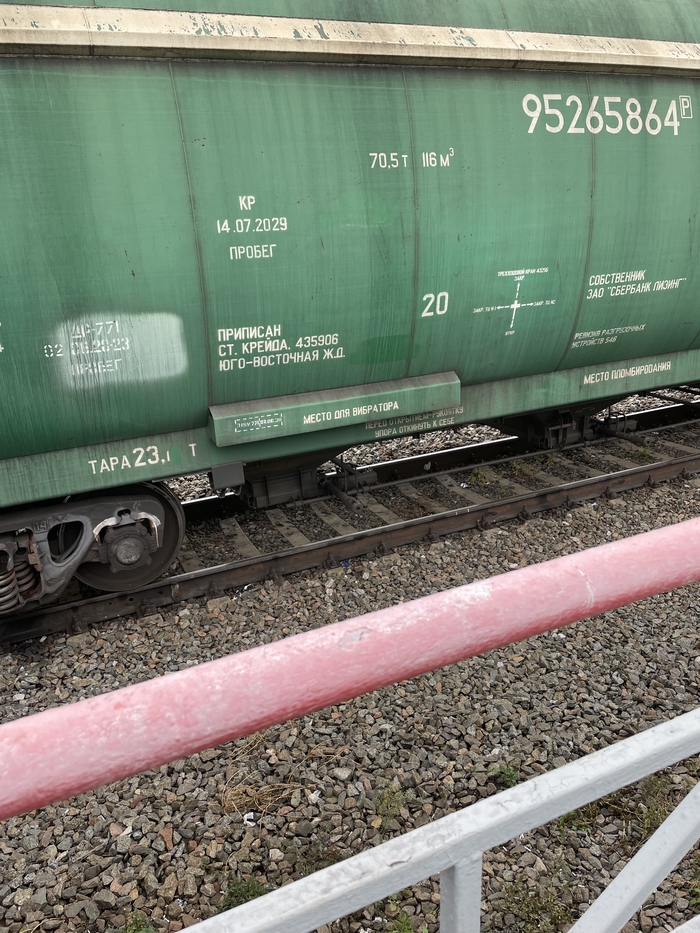 ����� ����