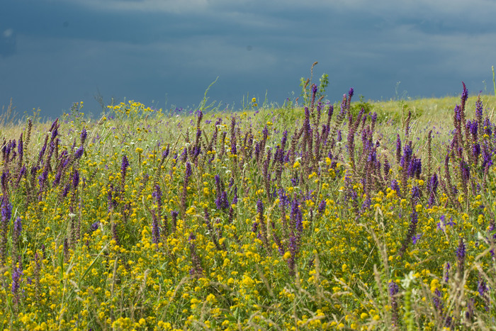 кто такой аксолотль рыба или лягушка. Смотреть фото кто такой аксолотль рыба или лягушка. Смотреть картинку кто такой аксолотль рыба или лягушка. Картинка про кто такой аксолотль рыба или лягушка. Фото кто такой аксолотль рыба или лягушка кто такой аксолотль рыба или лягушка. Смотреть фото кто такой аксолотль рыба или лягушка. Смотреть картинку кто такой аксолотль рыба или лягушка. Картинка про кто такой аксолотль рыба или лягушка. Фото кто такой аксолотль рыба или лягушка