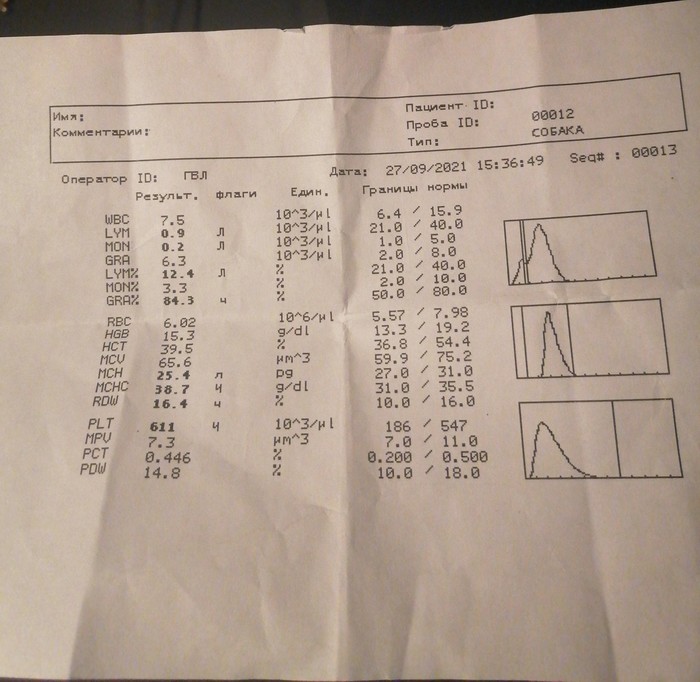 Нужна консультация ветеринара собакену! Хелп!!! (Помощь получена, всем спасибо)