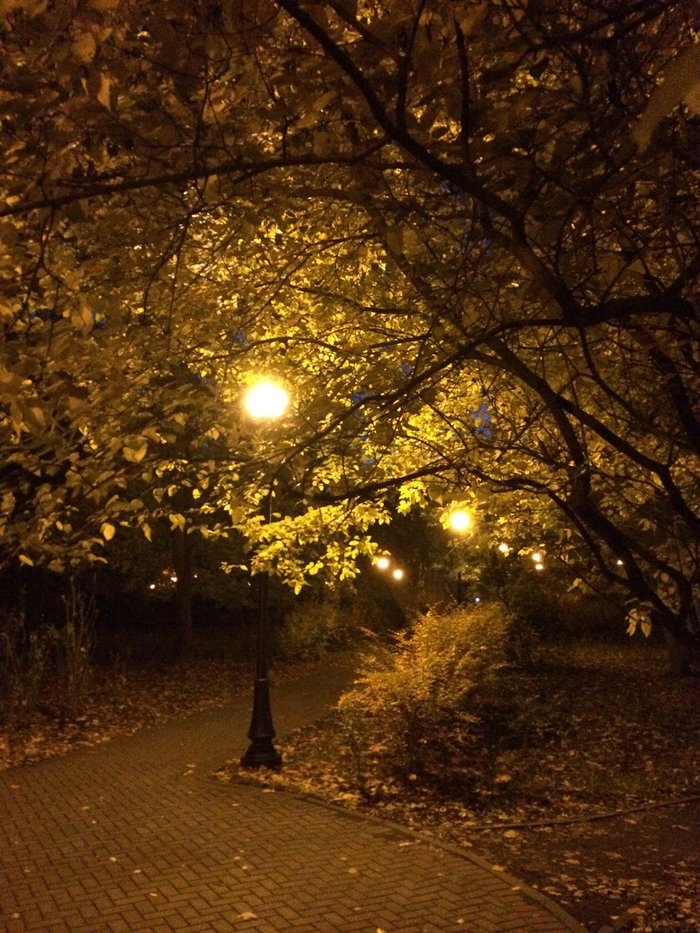 Золотая осень в любимой аллее