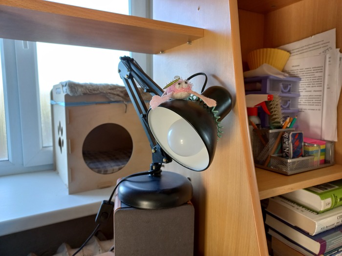 Безмятежность