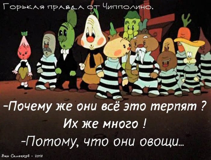 ����� ��� ��������� ������