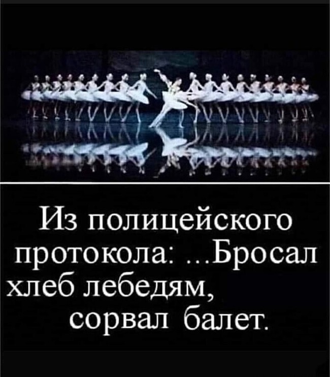 ������ ���� �������