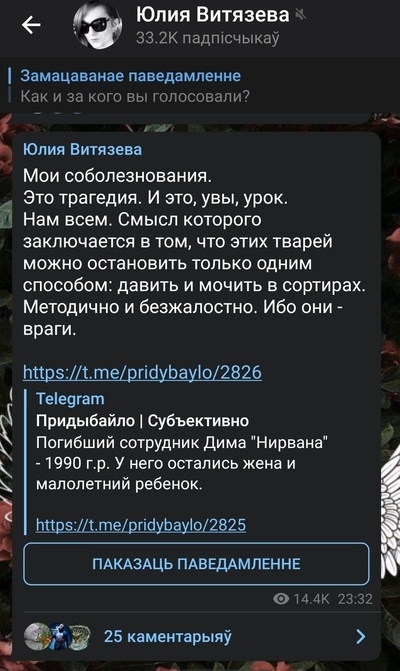 Журналист RT призывает убивать сотни тысяч белорусов в сортирах. Не Панорама Республика Беларусь, Политика, Видео, Длиннопост